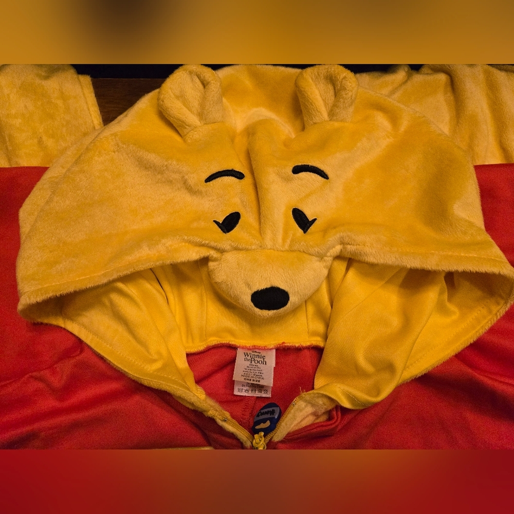 Disney Winnie the Pooh Yellow and Red Hooded Outfit